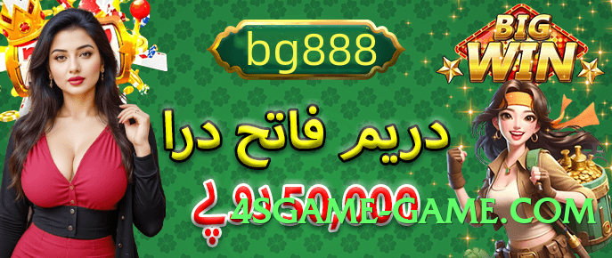 winpkr Silver v6.5.0 Screenshot 1